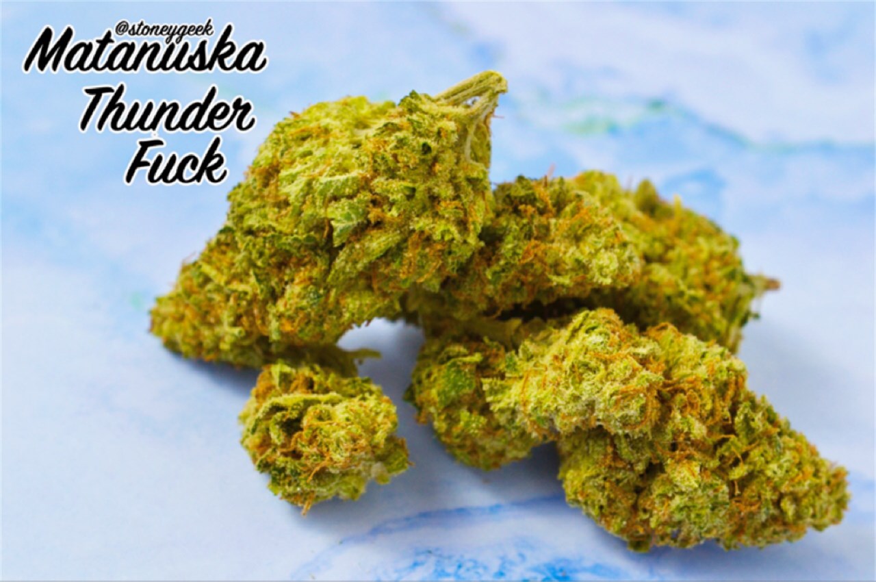 Foto de la variedad Matanuska Thunderfuck