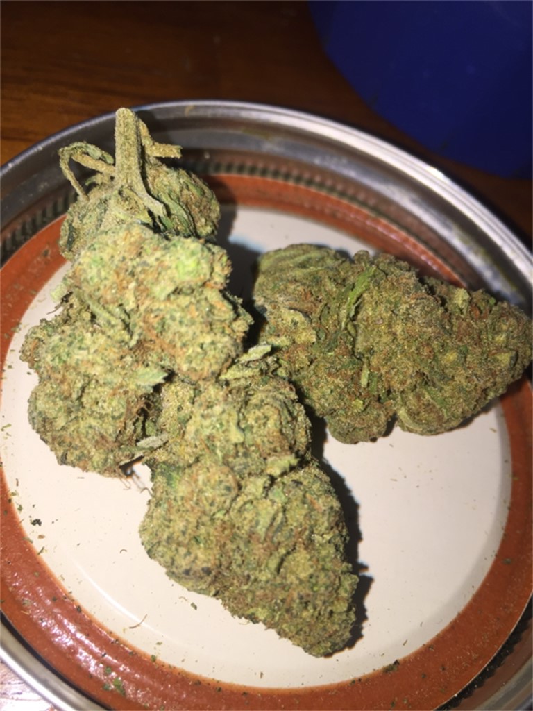 Foto de la variedad Maui Haole