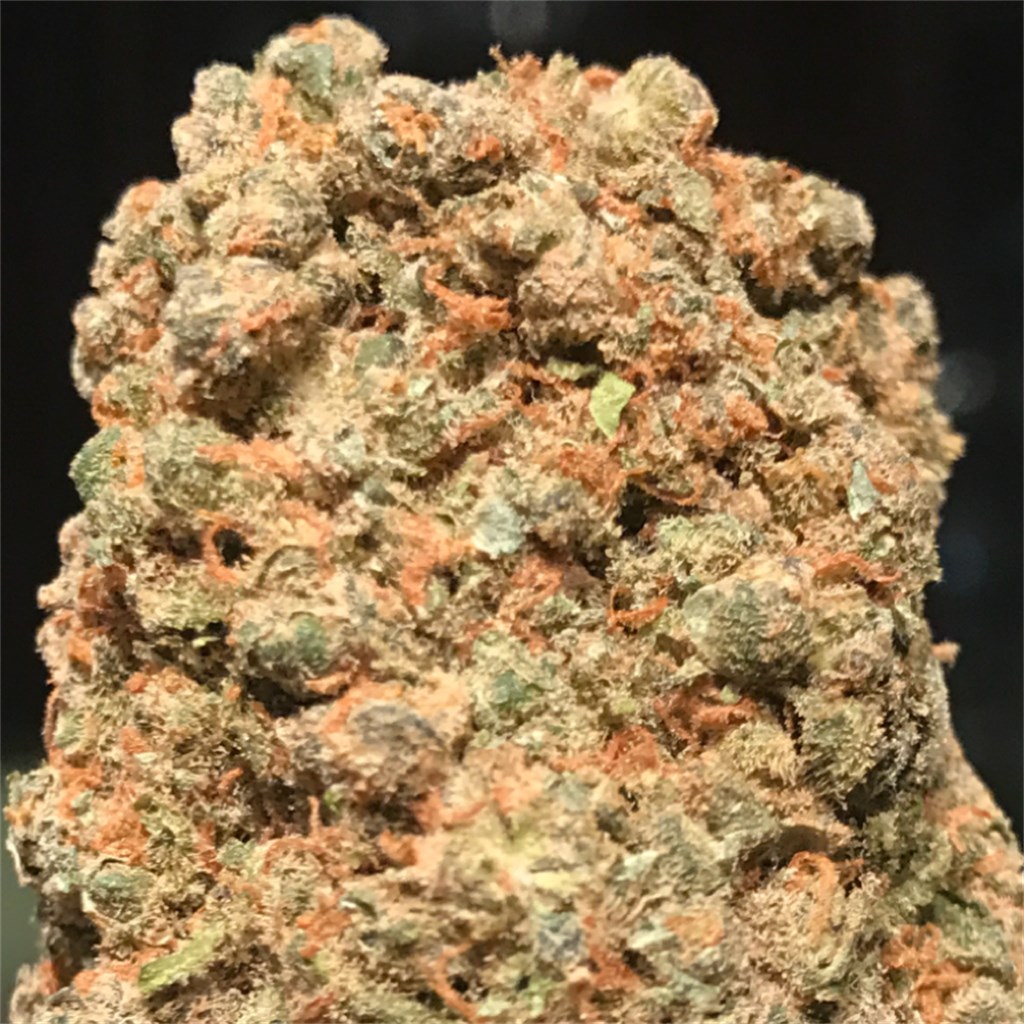 Maui OG