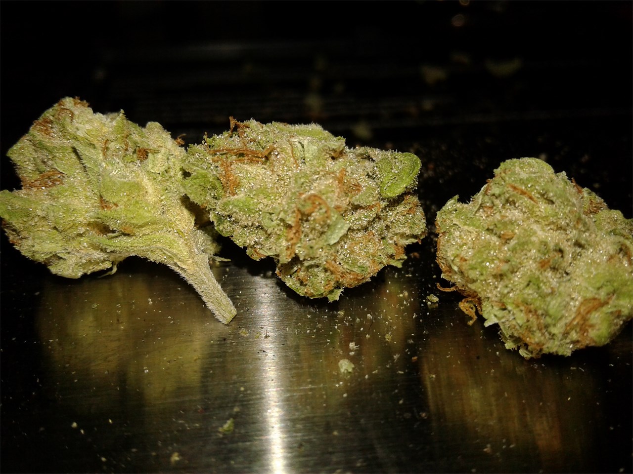 Foto de la variedad Memory Loss