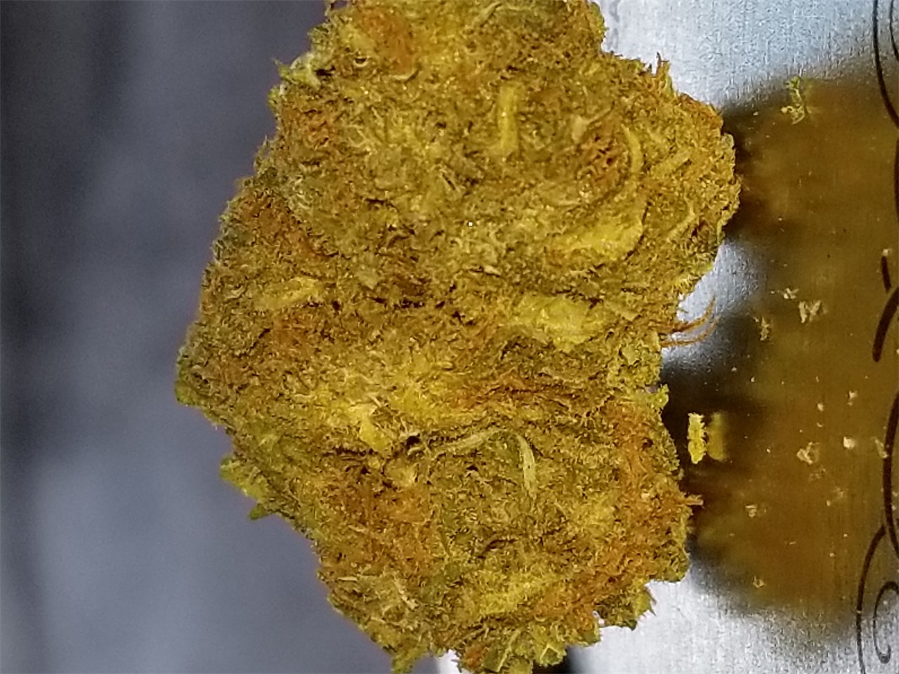 Mendocino Madness