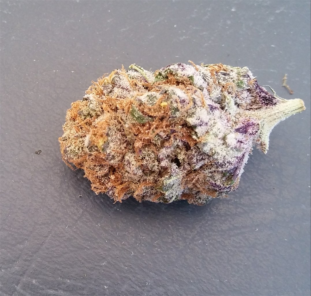 Mendocino Purps