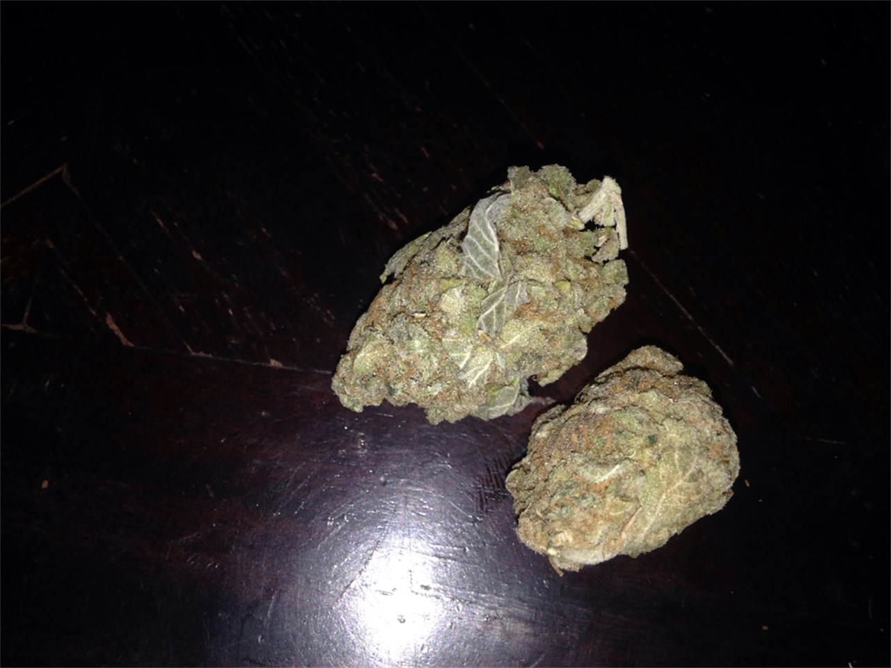 Foto de la variedad Merlot OG