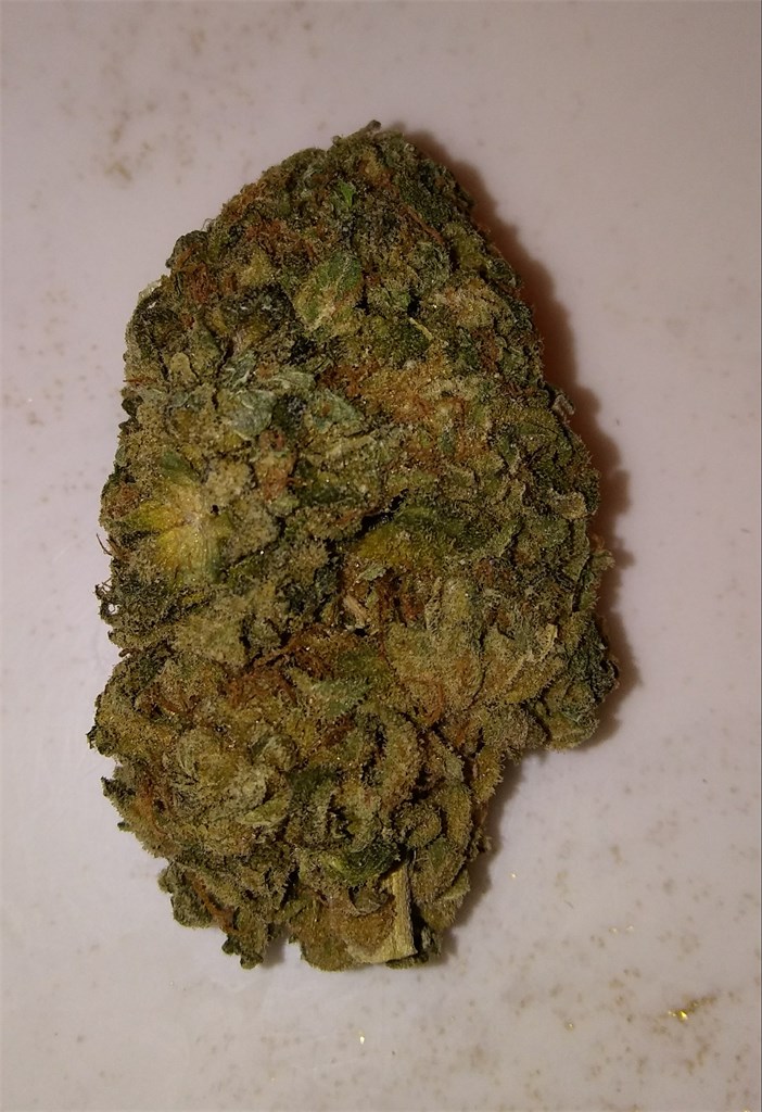 Foto de la variedad Mint Chocolate Chip