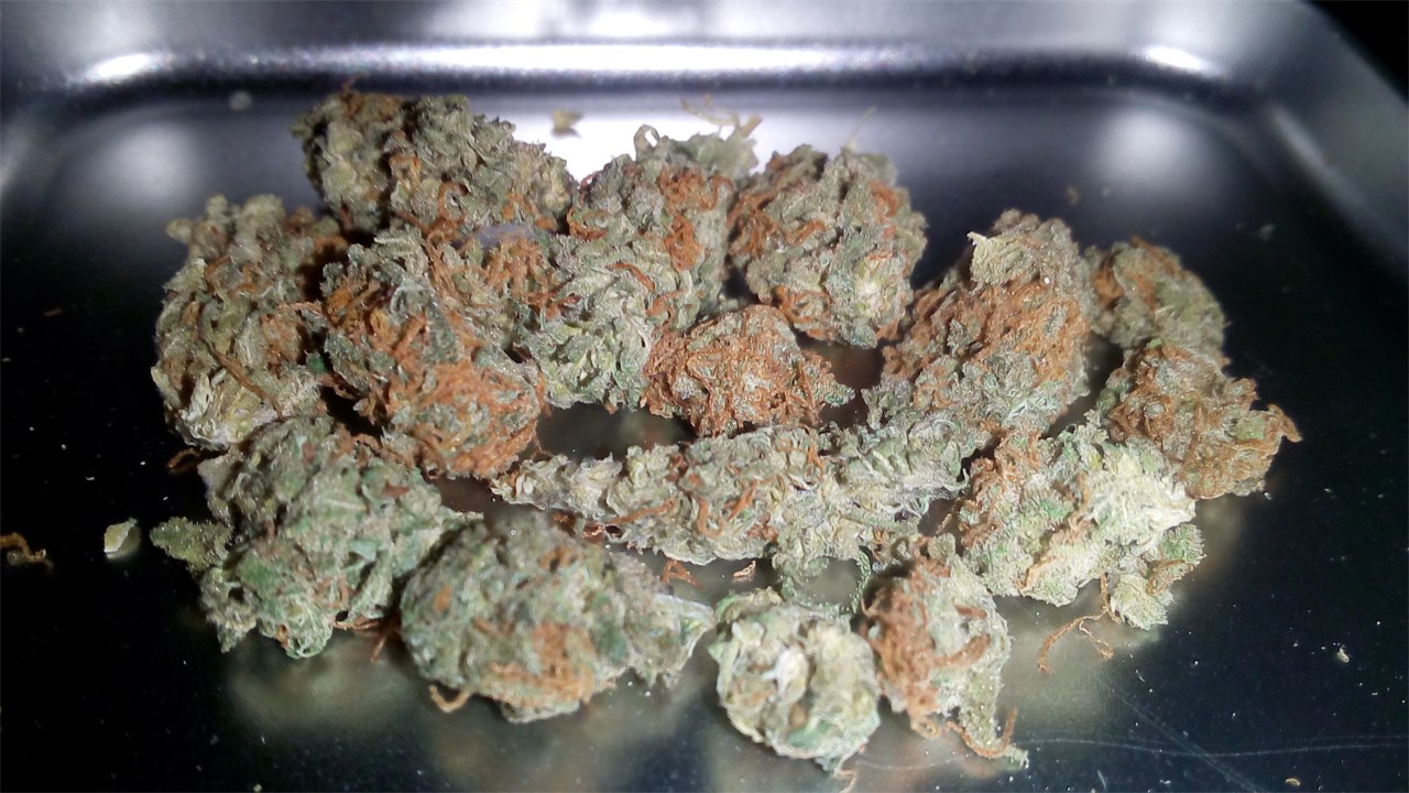 Foto de la variedad Moby Dick