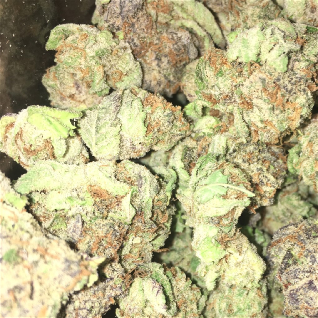 Monkey Paw