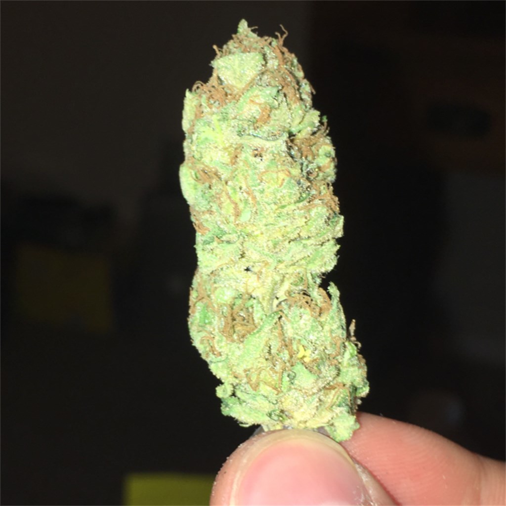 Moonwalker Kush