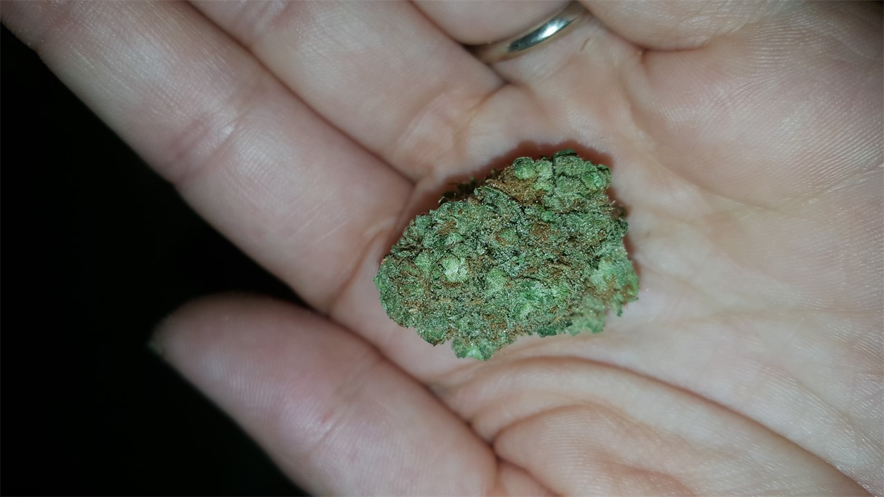 Foto de la variedad Mothers Finest