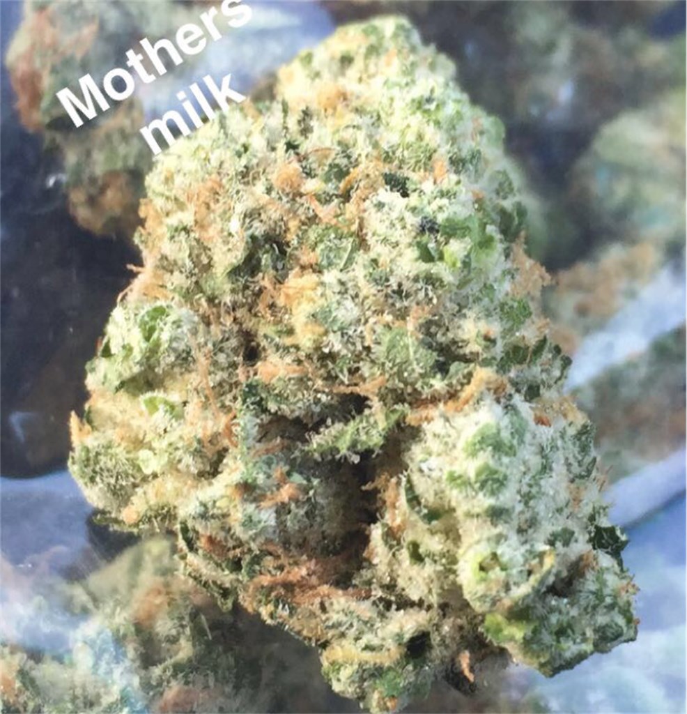 Foto de la variedad Mothers Milk