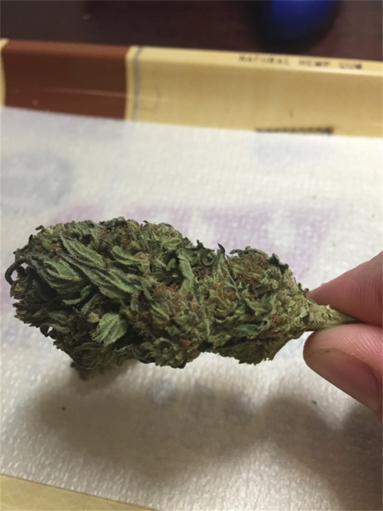 Foto de la variedad Mt Rainier