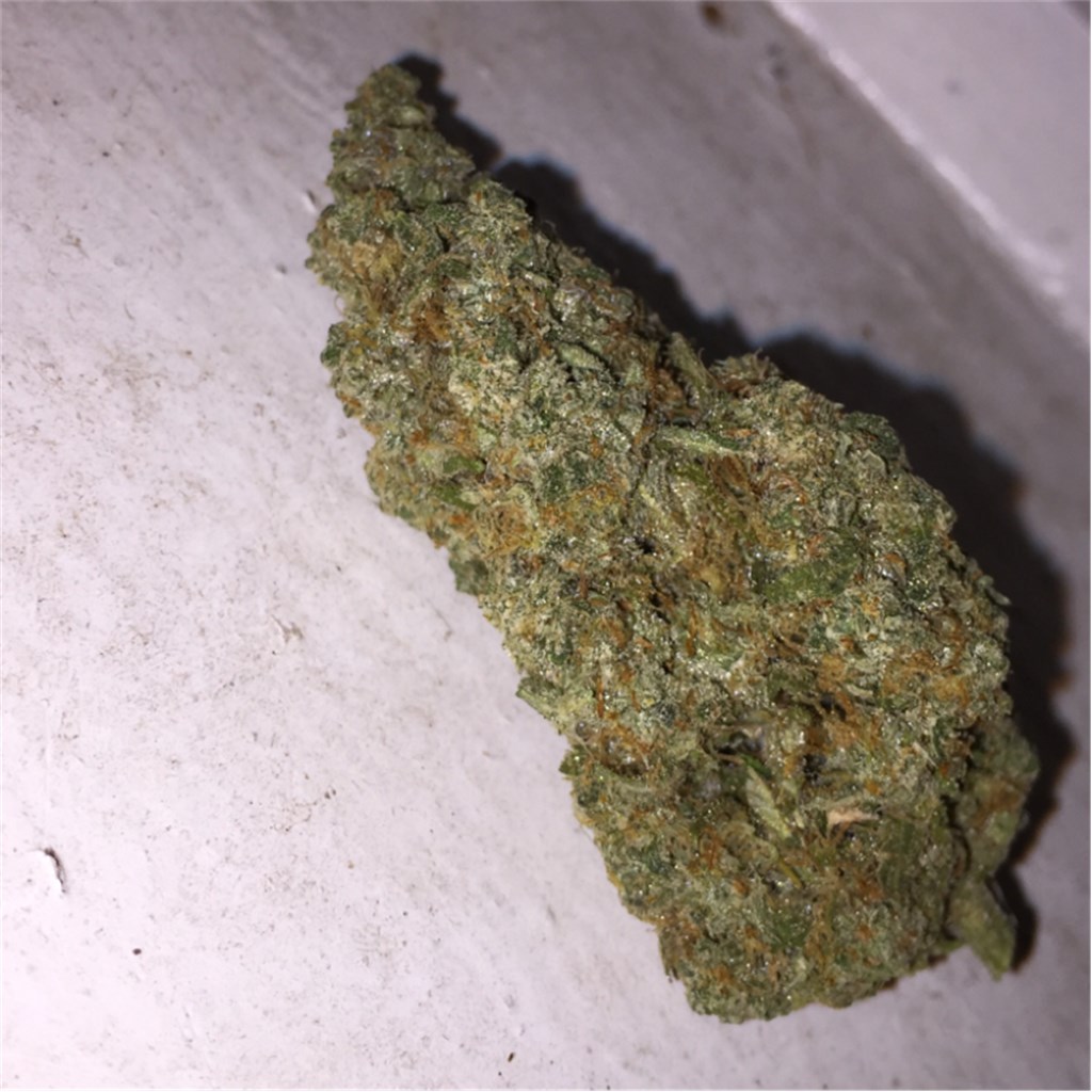 Foto de la variedad Narnia