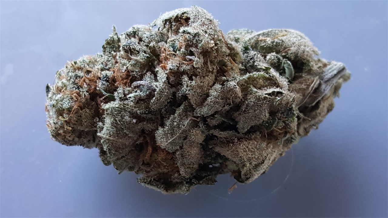 Nebula