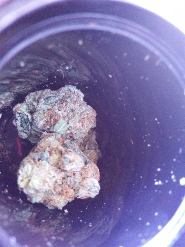 Neptune Og