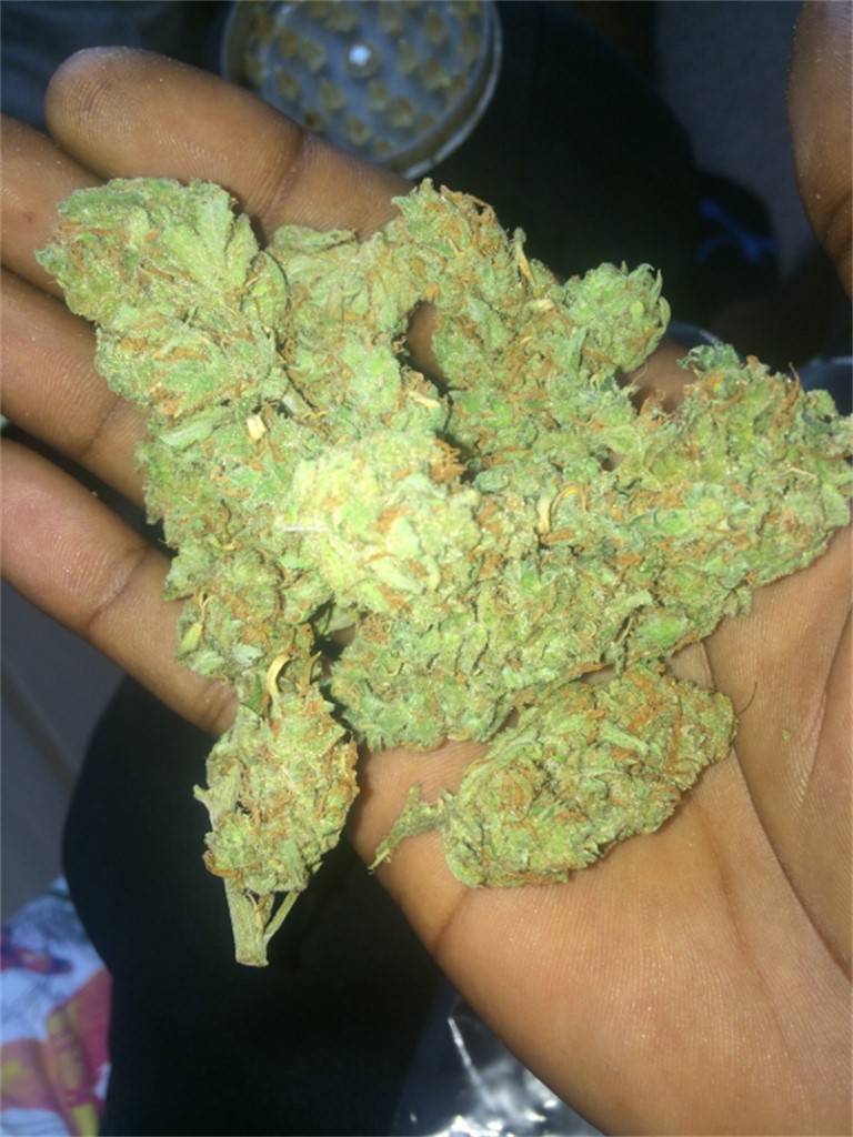 Foto de la variedad Nevilles Haze