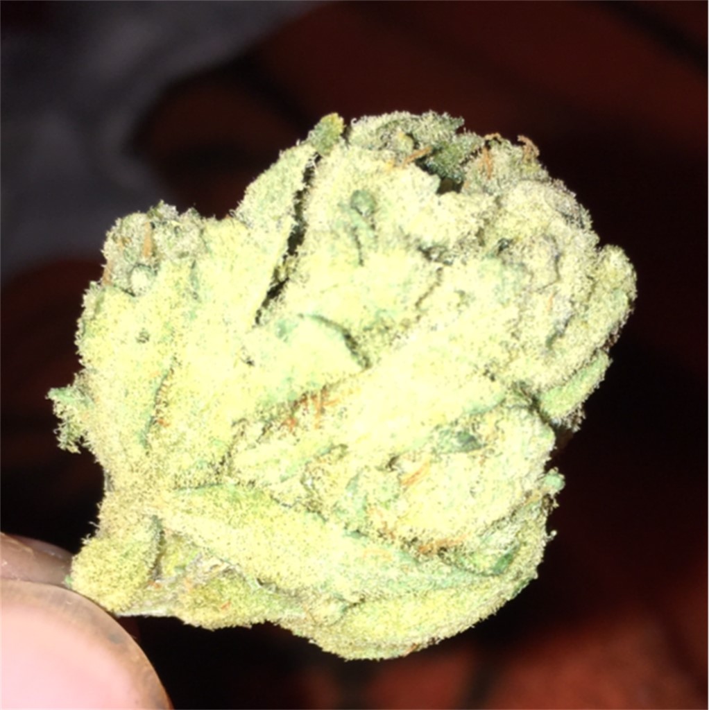 Nexus OG