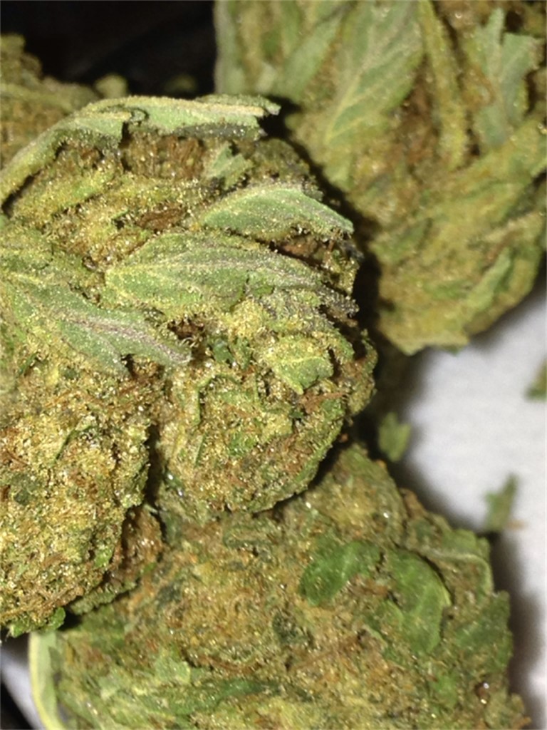 Nice Cherry