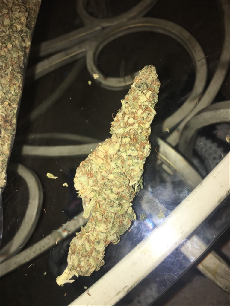 Foto de la variedad Cole Train