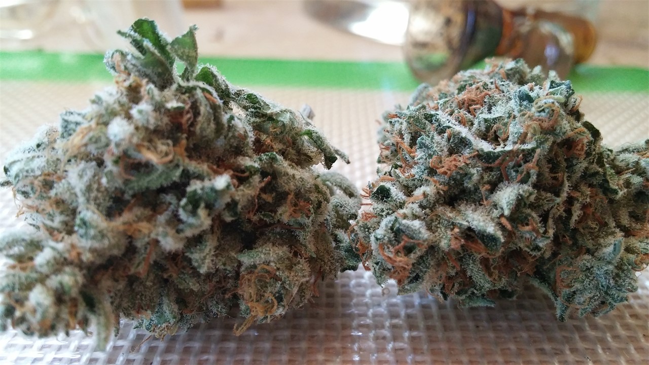 NightFire OG