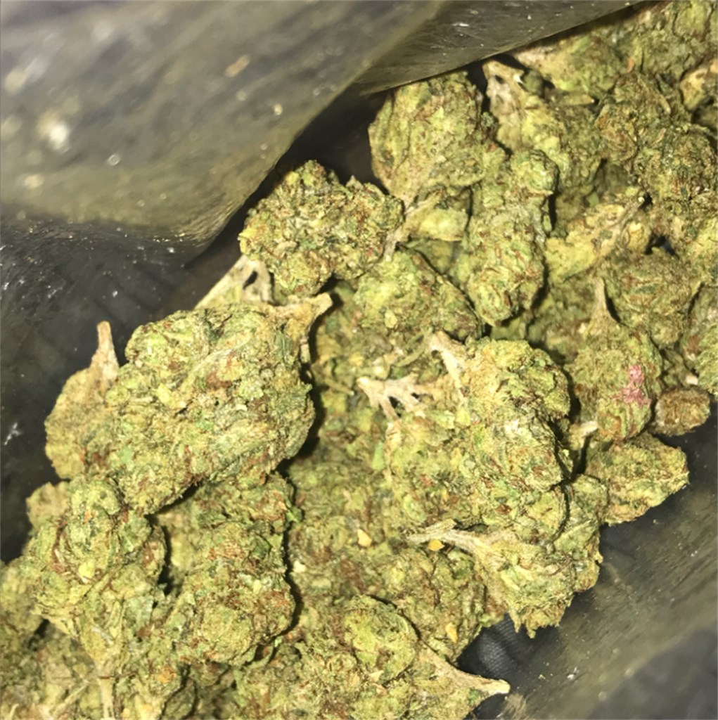 Nova OG