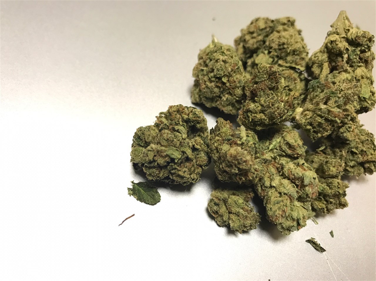 Foto de la variedad Poison OG