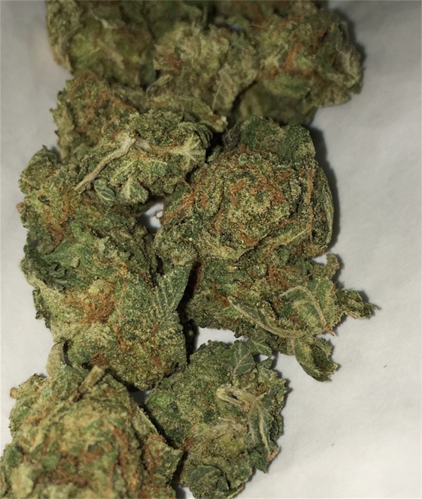 Foto de la variedad OG Ringo