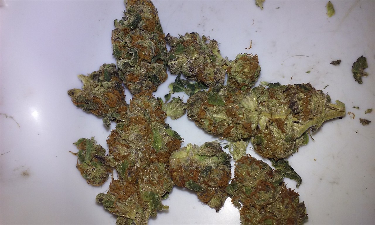 OG's Pearl
