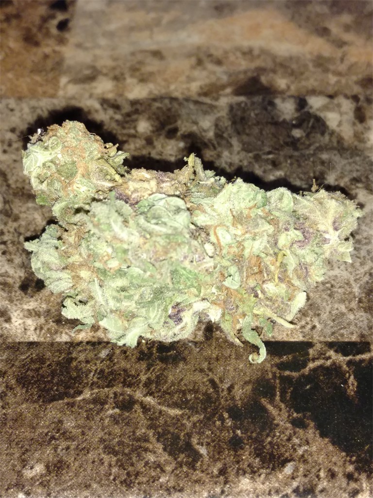 OG Skunk