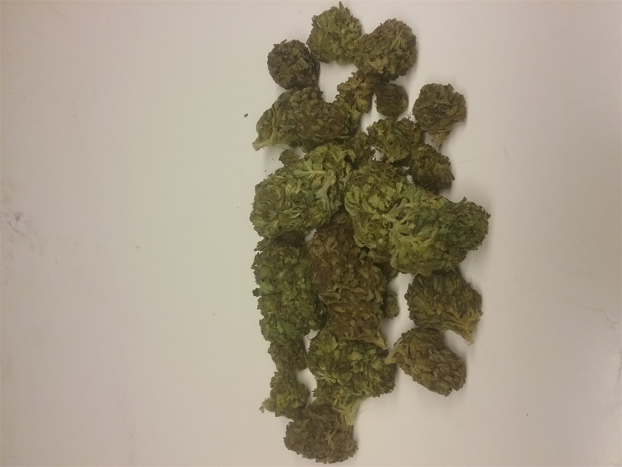 Foto de la variedad Og Skunk