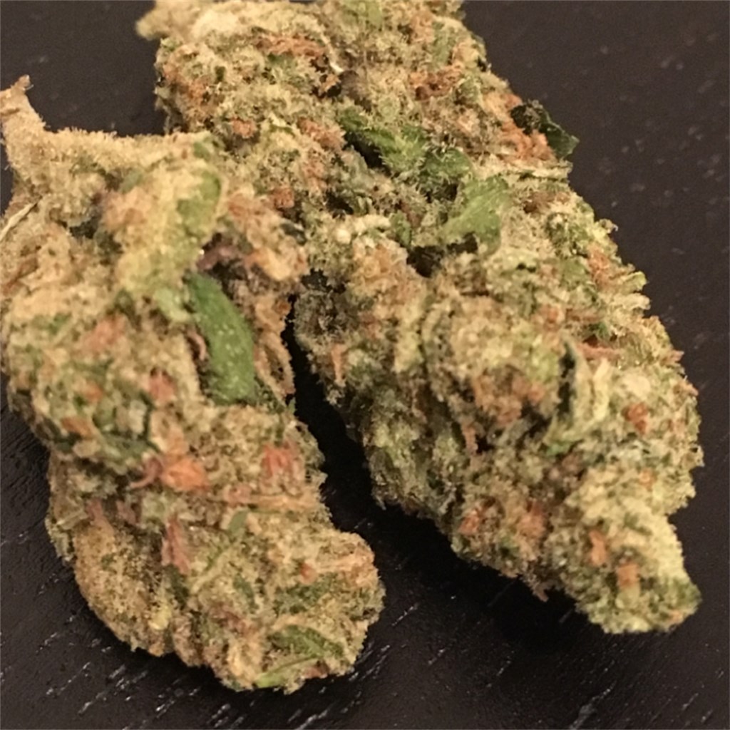 Old Mother Sativa