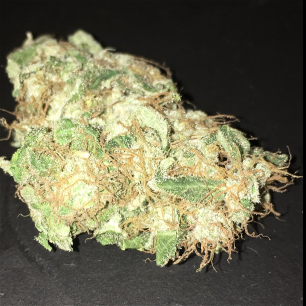 Foto de la variedad Opium
