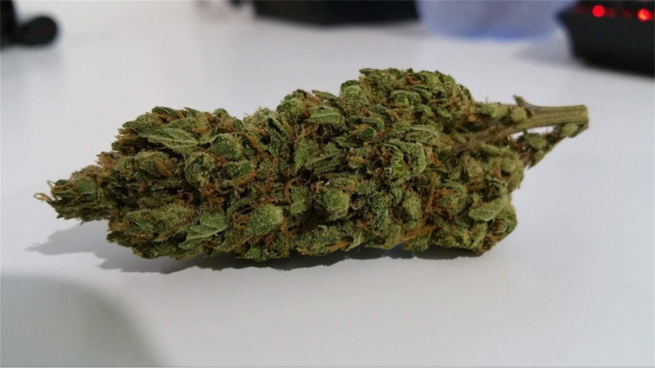Orange Creamsicle Cannabis Strain Information Leafly