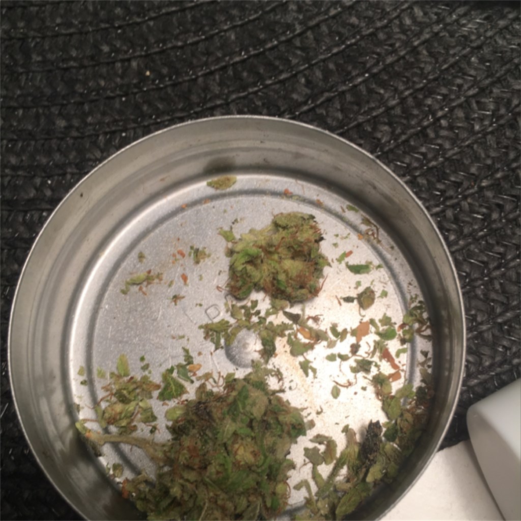 Orange Kush