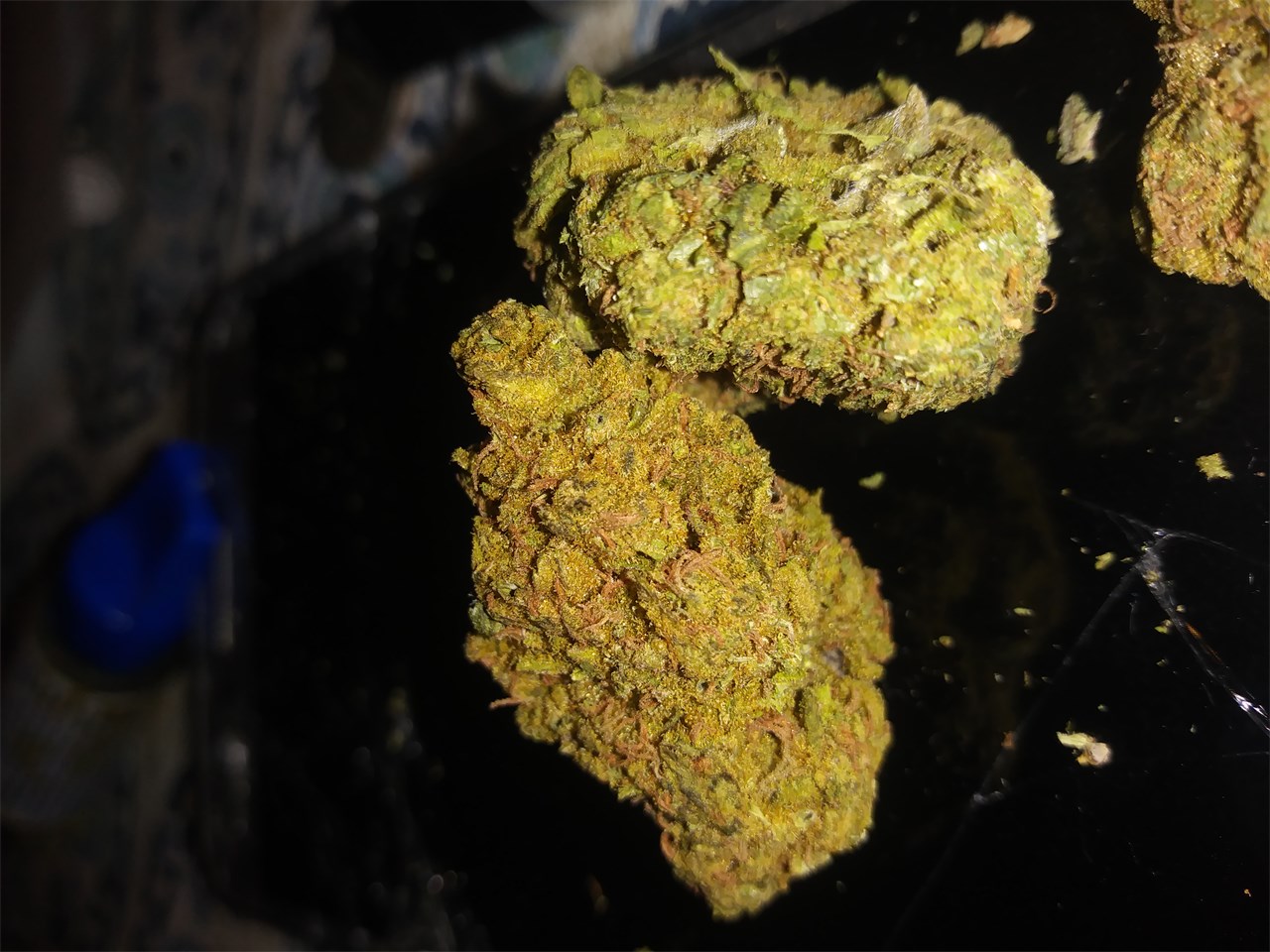 Orange Kush