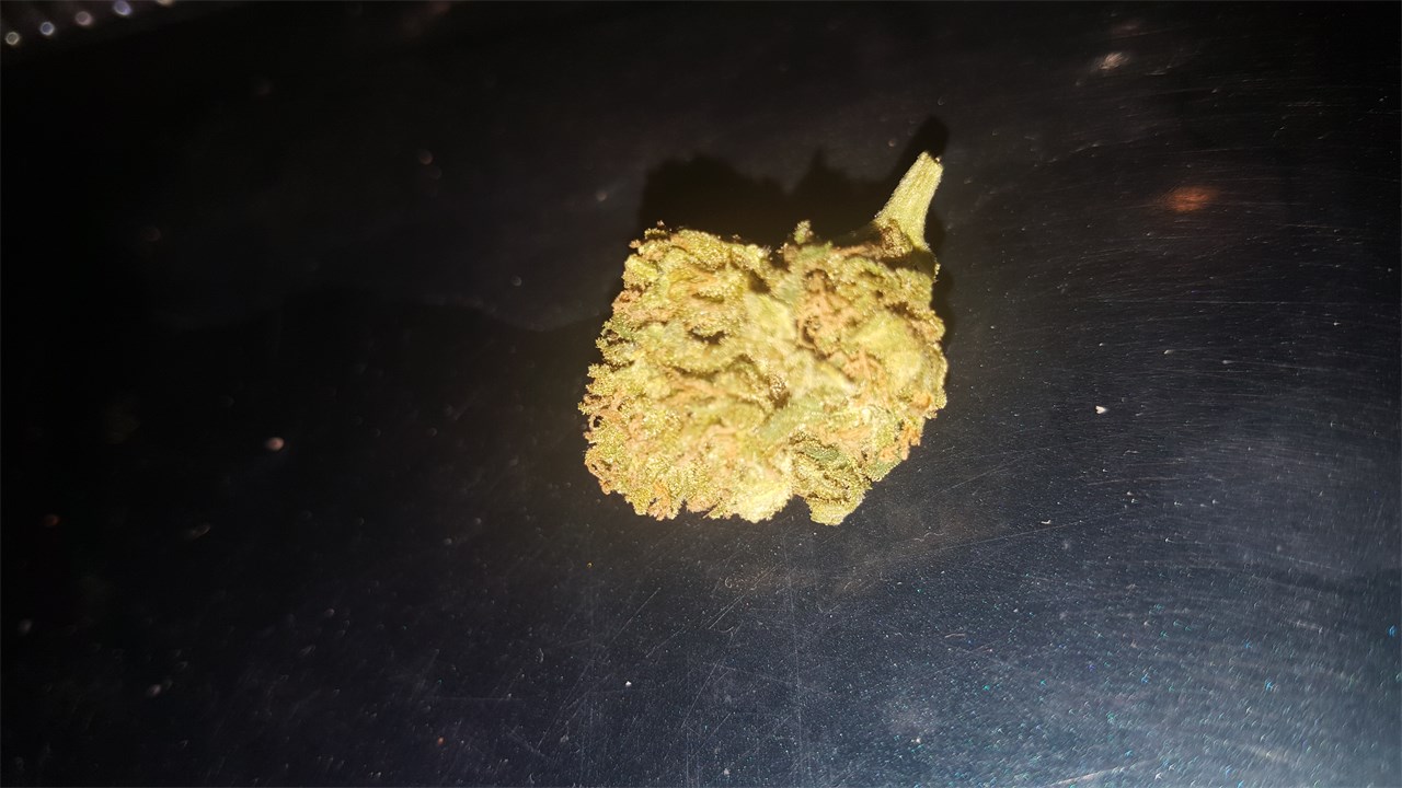 Orange Kush Cannabis Strain Information Leafly
