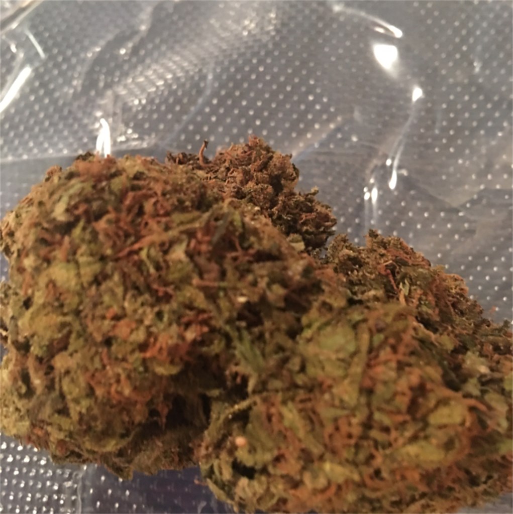 Foto de la variedad Orange Romulan