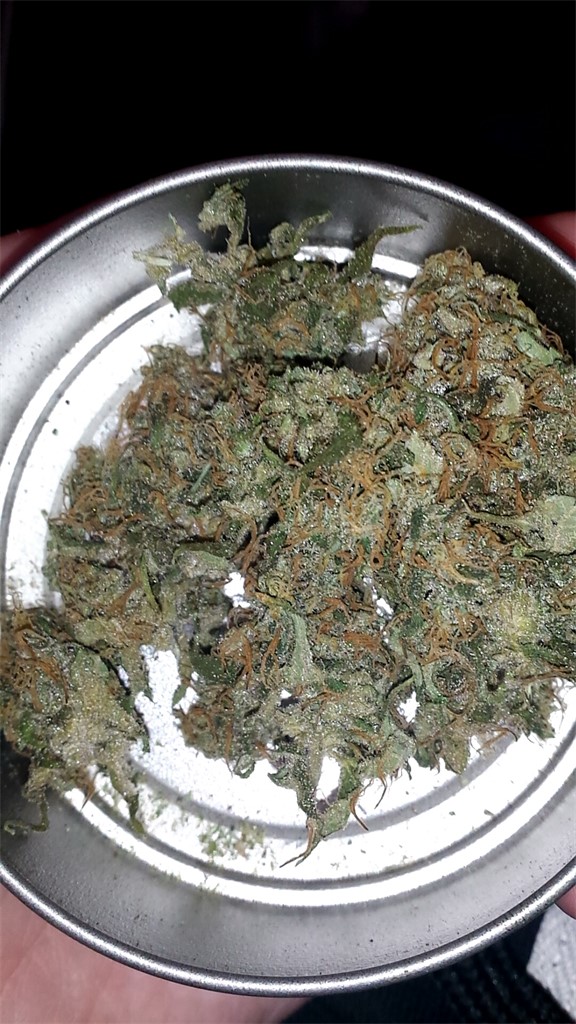 Foto de la variedad Ortega
