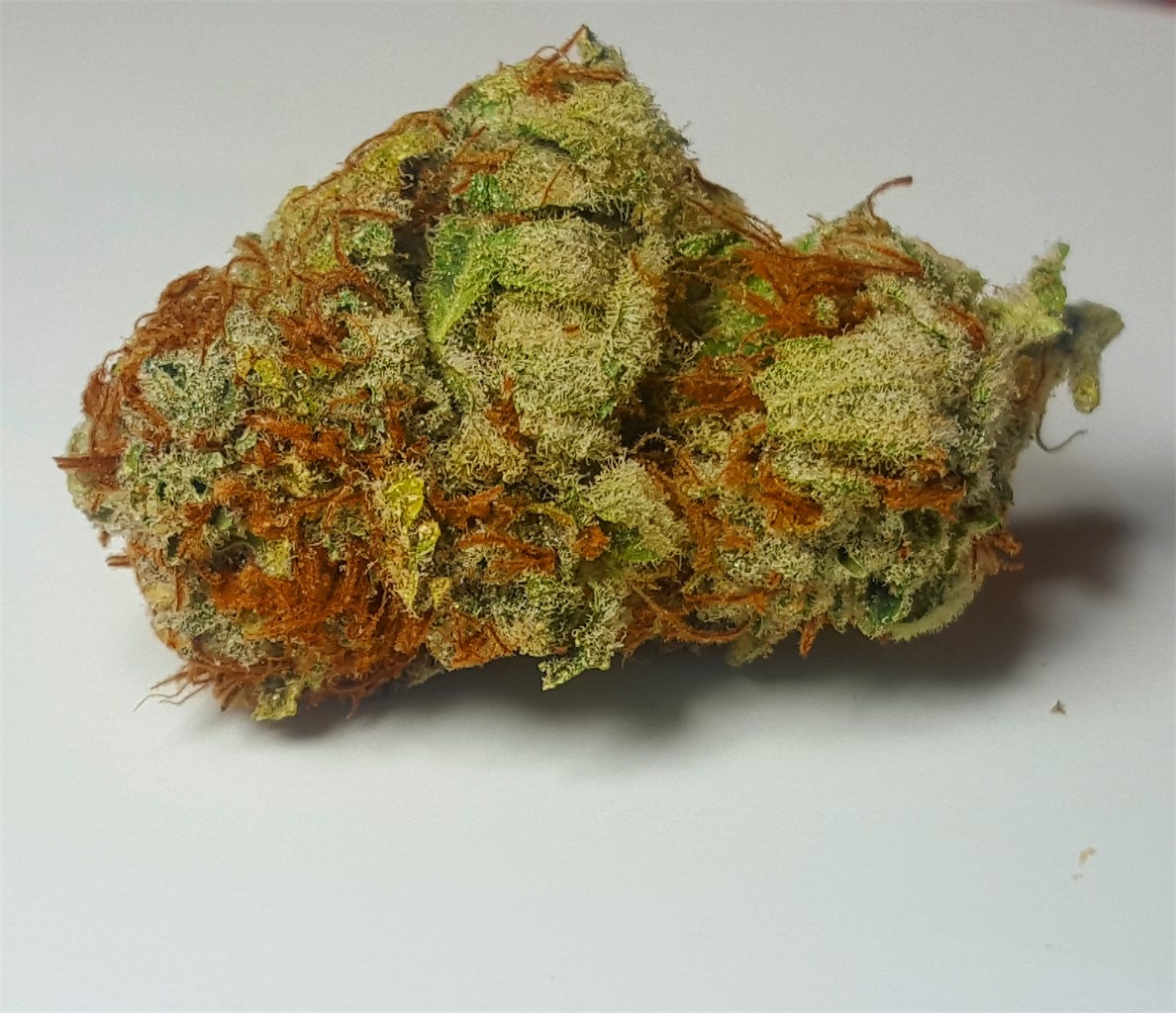 Pacific Blue