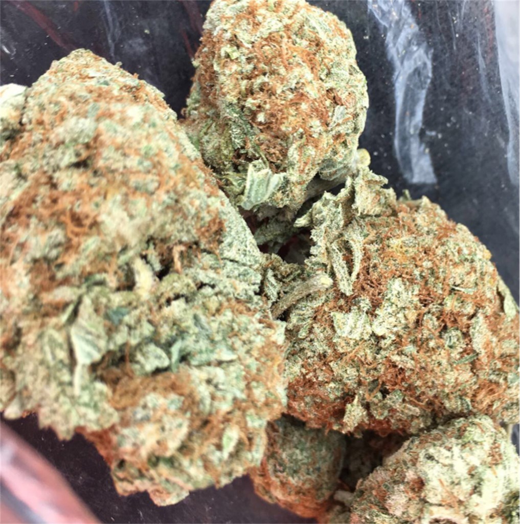 Foto de la variedad Paris-OG