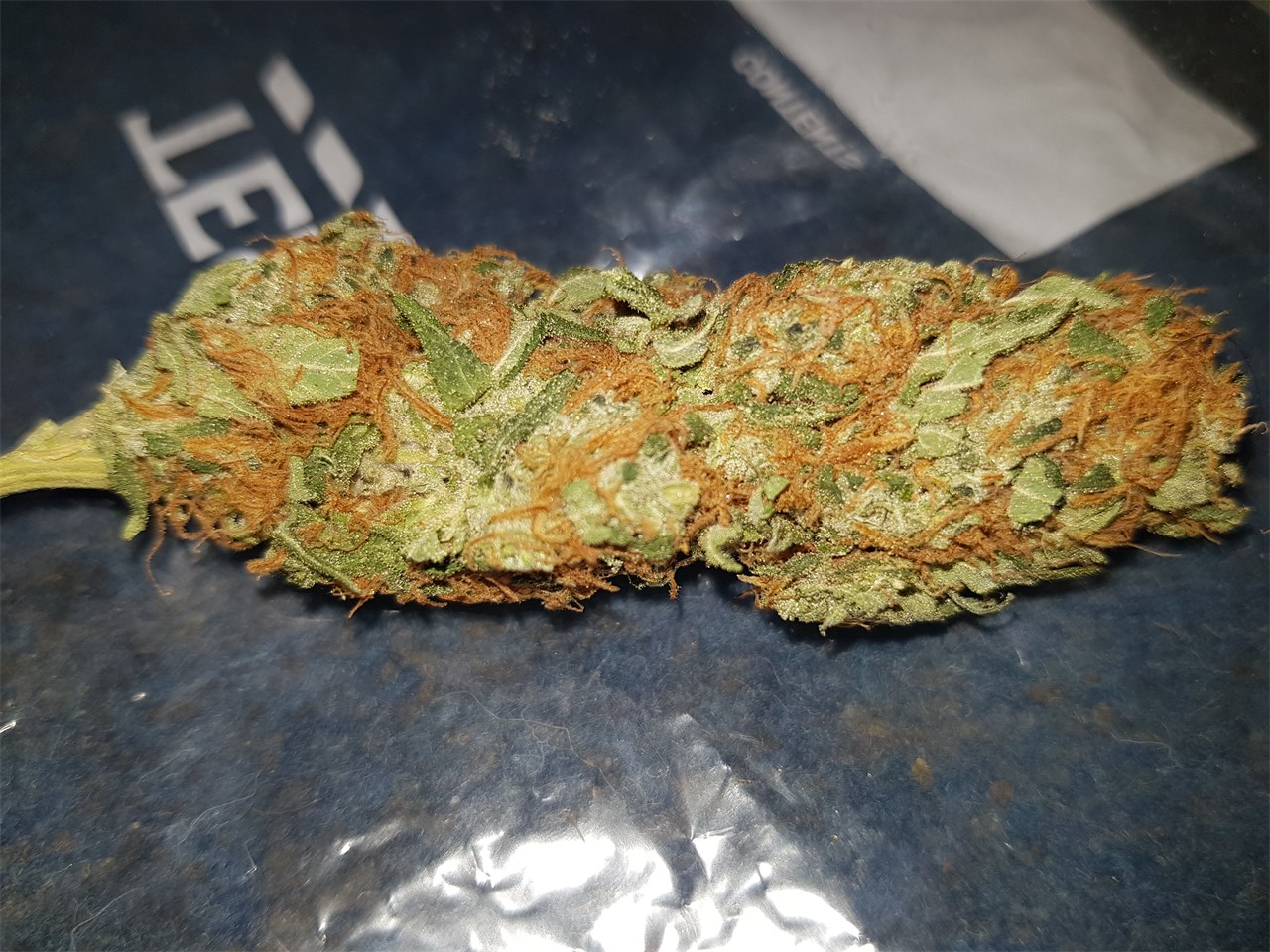 Foto de la variedad Peaches n Cream