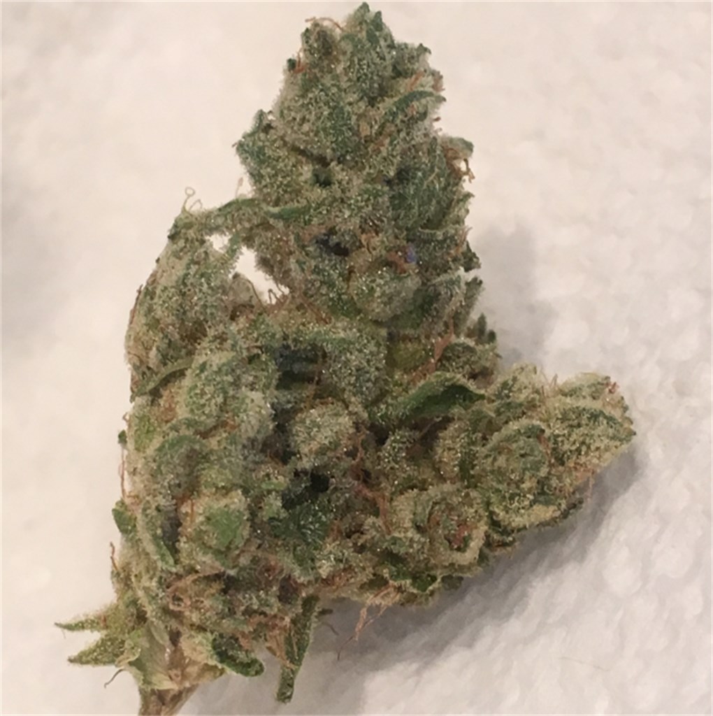 Pearl Scout Cookies