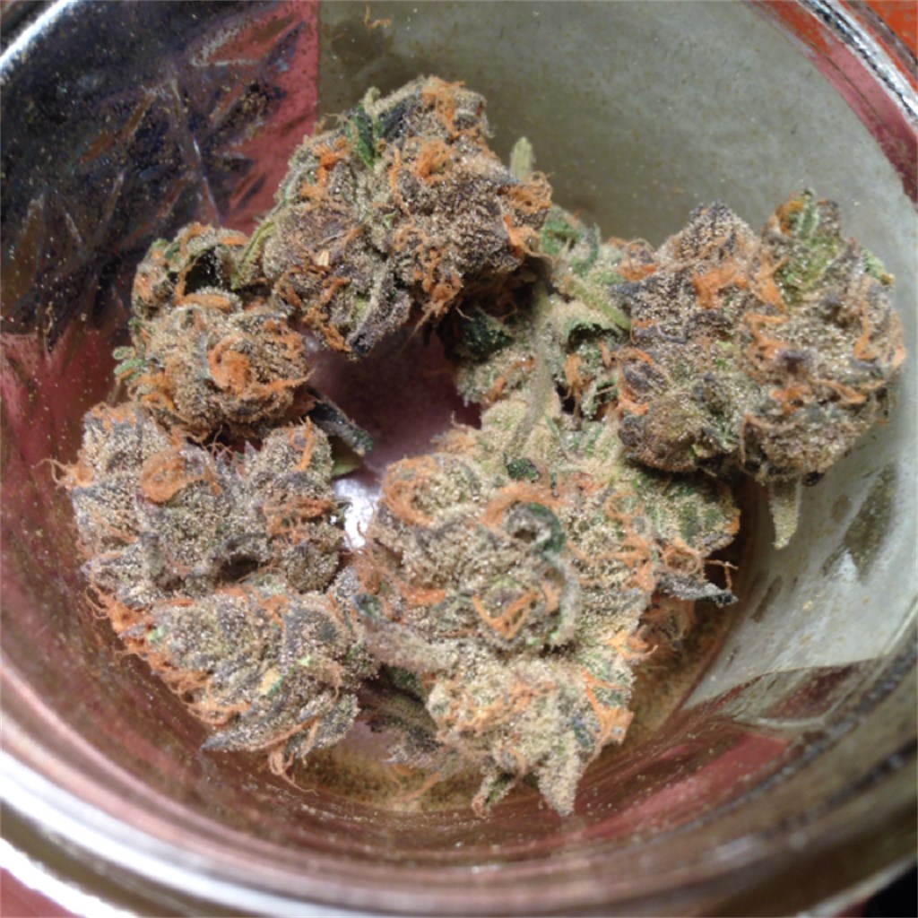 Peppermint Cookies