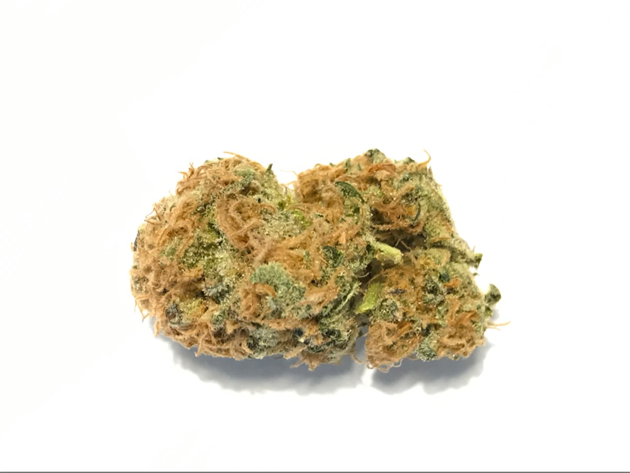 Peyote Cookies