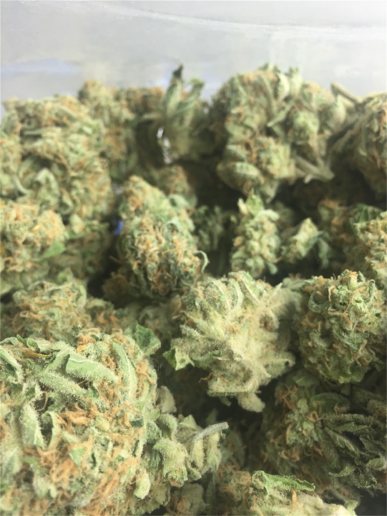 Foto de la variedad Pezz