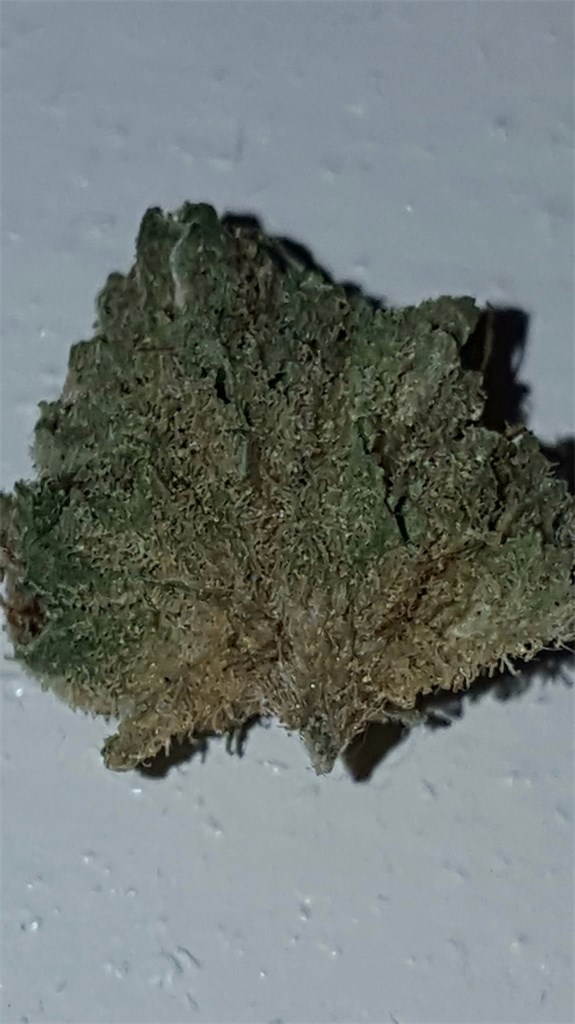 Phantom Cookies