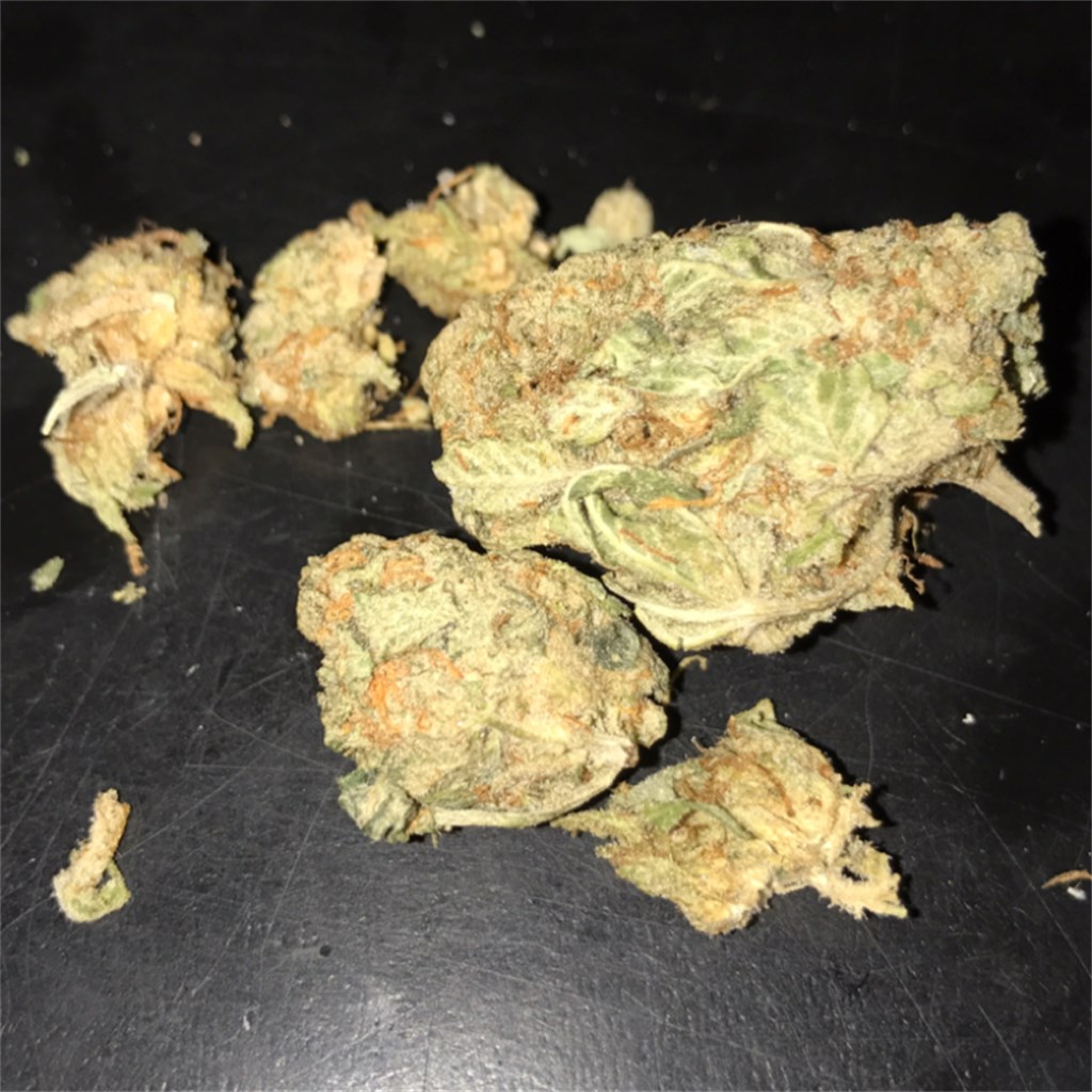 Foto de la variedad Phantom OG
