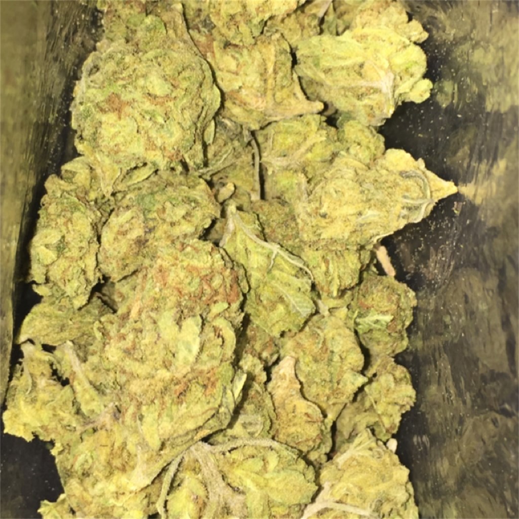 Foto de la variedad Pine Cone