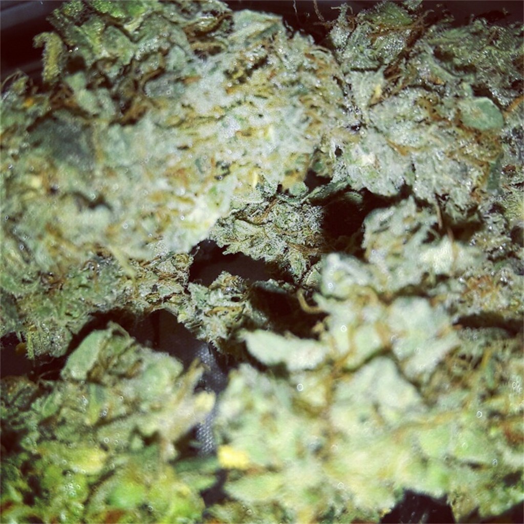 Pineapple Cookies