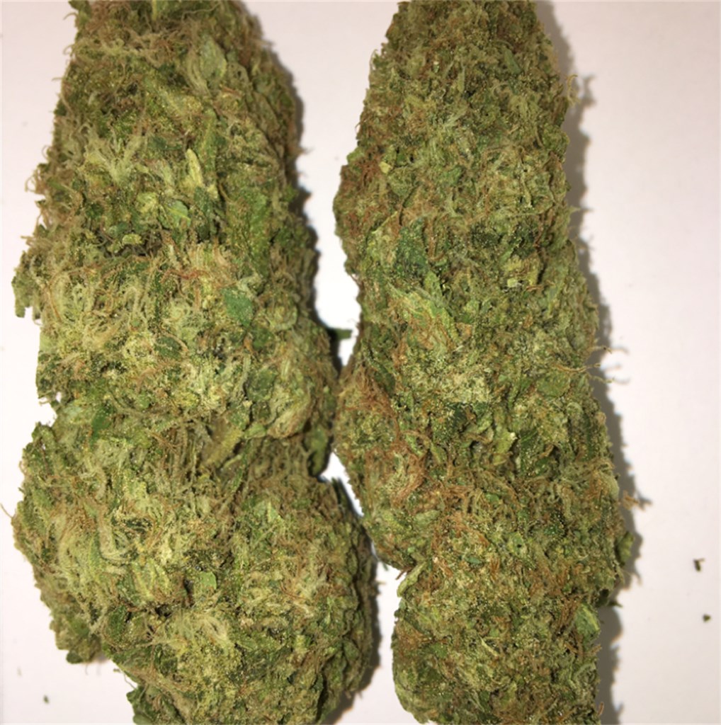 Foto de la variedad Pineapple Jack