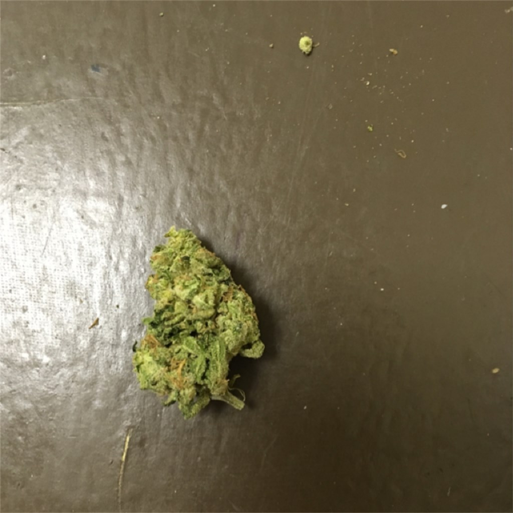 Pineapple Jack