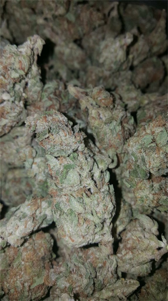 Foto de la variedad Pineapple Kush